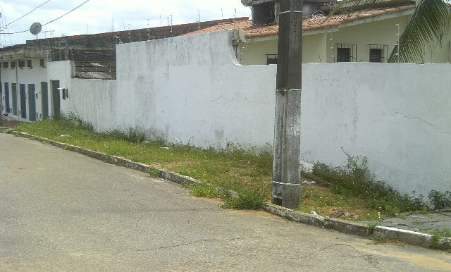 DSCF0036