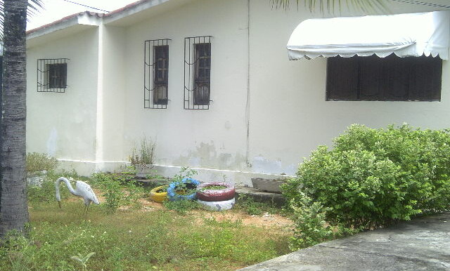 DSCF0039