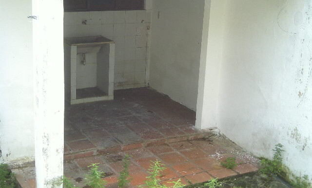 DSCF0048